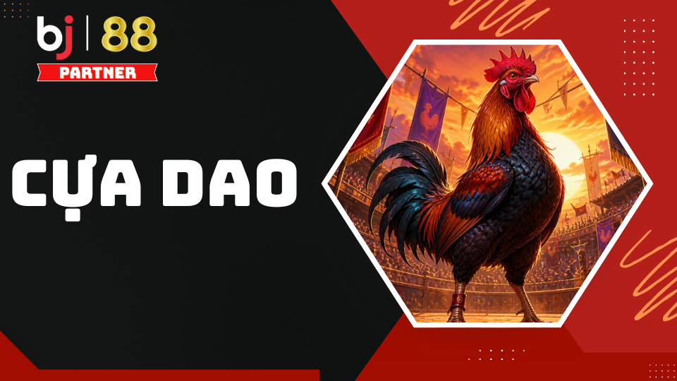 Đá gà cựa dao tại BJ88 - Tổng quan luật chơi và bí quyết cược 2 Cựa dao thường phổ biến ở các bồ gà Phi và Nam Mỹ