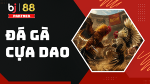 Đá gà cựa dao BJ88 - Cập nhật luật chơi và mẹo cược