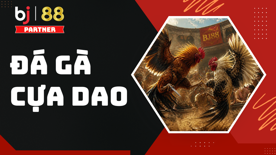 Đá gà cựa dao tại BJ88 - Tổng quan luật chơi và bí quyết cược 1 Đá gà cựa dao BJ88 - Cập nhật luật chơi và mẹo cược