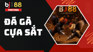 Đá gà cựa sắt BJ88 - Tổng quan luật chơi và cách tham gia